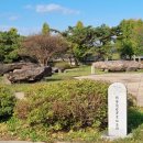 부안 짱아 이미지