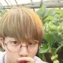 석진 농장 이미지