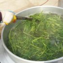 고운농장 이미지