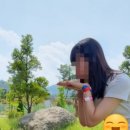 (주)캠프통포레스트 이미지