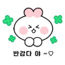 메디드리머 이미지