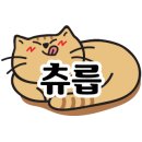 RICO 가츠 이미지