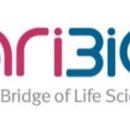 아리바이오 “치매 전자약 임상 완료… 11월 결과 발표” 이미지