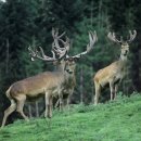 준경한의원 이미지