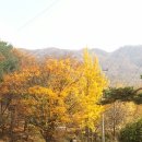 운악레저타운 이미지