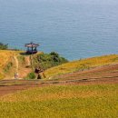 트인바다라메종 이미지