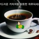 여유 Daum카페