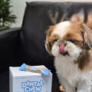 보나덴탈 | 강아지껌 육류가 안들어간 덴탈츄 후기