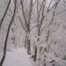 강산 - 아산시 | 강산