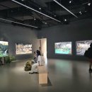 하나로13길 | 도봉구 창동 SeMA, 서울시립 사진미술관 개관특별전 후기