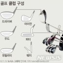 알바트로스골프 이미지
