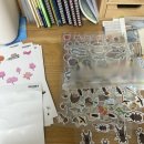 자연 | 놀라운자연 엄가다 후기