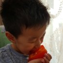 서산농특산영농조합법인 이미지
