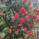 김성배정형외과의원 이미지