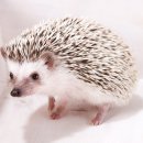 장유동물병원 이미지