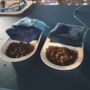 해적낚시까페 이미지