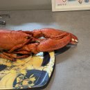 드림아이산부인과의원 이미지