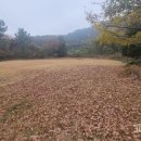 득량미니골프연습장 이미지