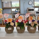 도안초등학교(병설유치원) 이미지