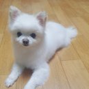 라컴