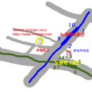 101마리 애견 이미지