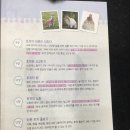 토끼공장 이미지