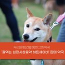 동탄그린약국 이미지