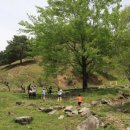 하늘마루염소목장 이미지