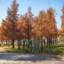 풀내음근린공원 이미지