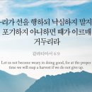 오늘의 &#39;영어성경 사진&#39;(463강) “선을 행하세요”(갈라디아서 6장 9절) 이미지