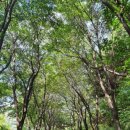 우장산공원 이미지