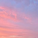 화신연마라꼬치 이미지