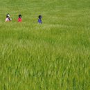 두우리 농장 이미지