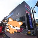 스파렉스 연수 이미지