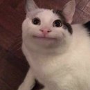 솔밭휴게소식당 | [경주] 완전 이거 앨범 커버 아녀.. ? (feat. 카더가든 조각구름)