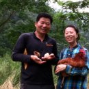 김순덕 농장 이미지