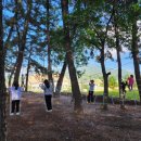 하늘숲민박 이미지