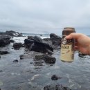 자유로운 사색가 이미지