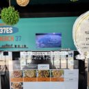 나인비치37 이미지