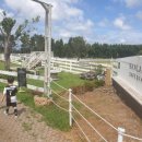 둥이목장 이미지