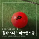 휠라 5피스 파크골프공 추천 솔직후기