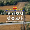 멍도씨(mung℃) | 수비리에서 팜플로나 21km, 산티아고 순례길 3일차 배낭 교체 후기