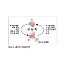 식약동원 이미지