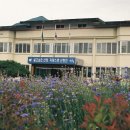 금서면사무소 이미지