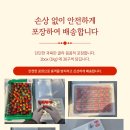 다대농장 | 다대농장 오픈특가 딸기1kg 맛있는딸기 농장직구 건강한과일 아이간식 신선한딸기