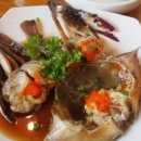 신탄진동로~ 신탄진동로24번길 이미지