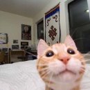 오키오키