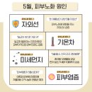 피부봄날 이미지