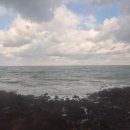 별바당 | 3박 4일 제주 수학여행(2일차)