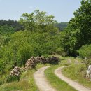 향호소공원화장실 이미지